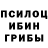 Псилоцибиновые грибы Psilocybine cubensis CHERRY