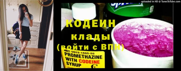 mdpv Богородицк