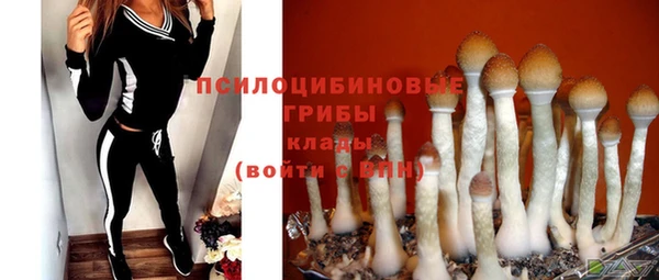 кокаин премиум Богданович