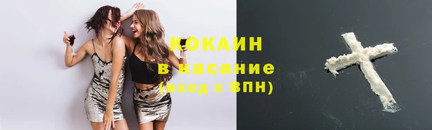 mdpv Богородицк