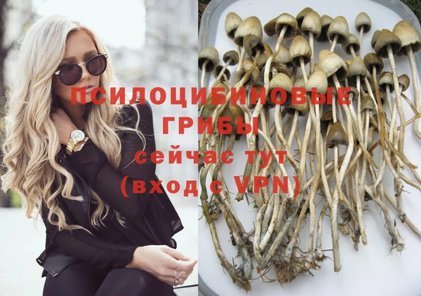 кокаин премиум Богданович