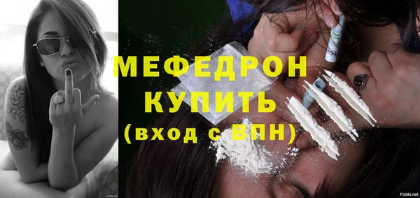 mdpv Богородицк