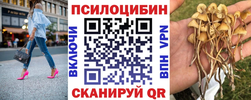 сколько стоит  Краснокамск  ОМГ ОМГ вход  Псилоцибиновые грибы GOLDEN TEACHER 